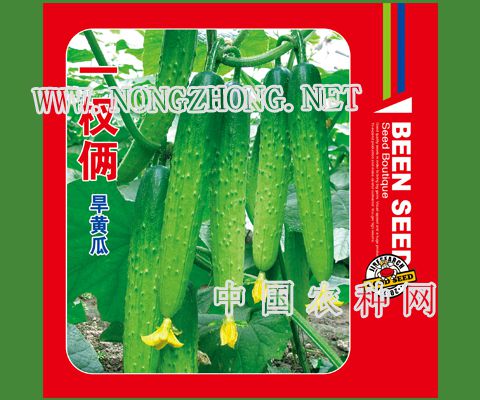 一杈俩